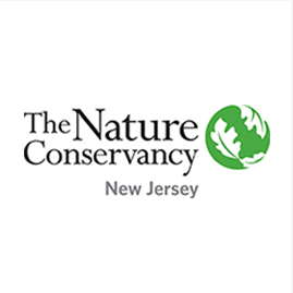 The Nature Conservancy