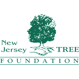 New Jersey Tree Foundation